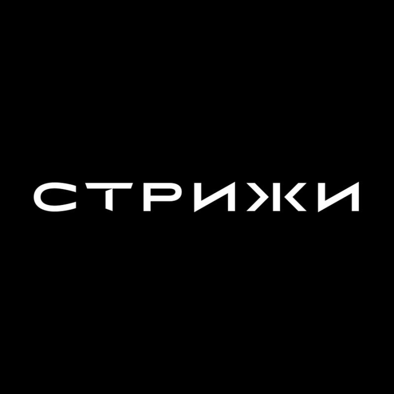 ГК Стрижи (Новосибирск) отзывы сотрудников